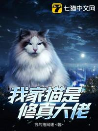 我家猫是修真大佬